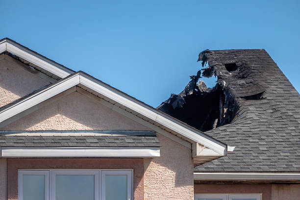 Top rated local Fire Damage Removal specialists in Seminole, TX